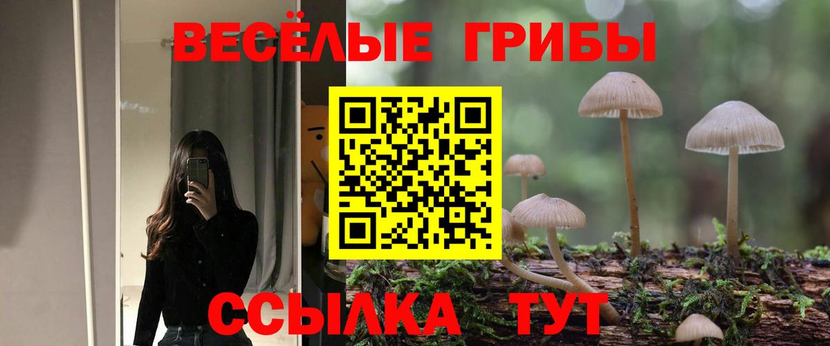 Псилоцибиновые грибы Cubensis  Вход с VPN  Ставрополь 